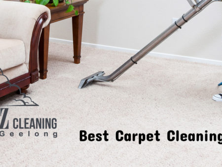 Know Which Carpet Cleaning Is Best For You