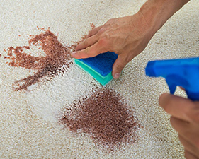 Carpet stain removal services
