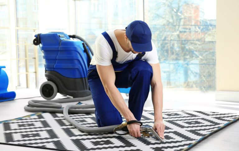 Why Professional Carpet Cleaners Are The Best Choice?